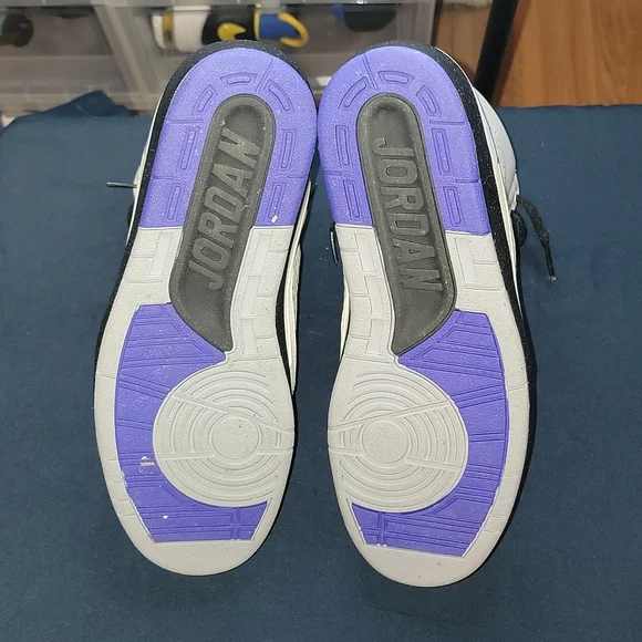 Air Jordan 2 "Concord" - Picture 4 of 7